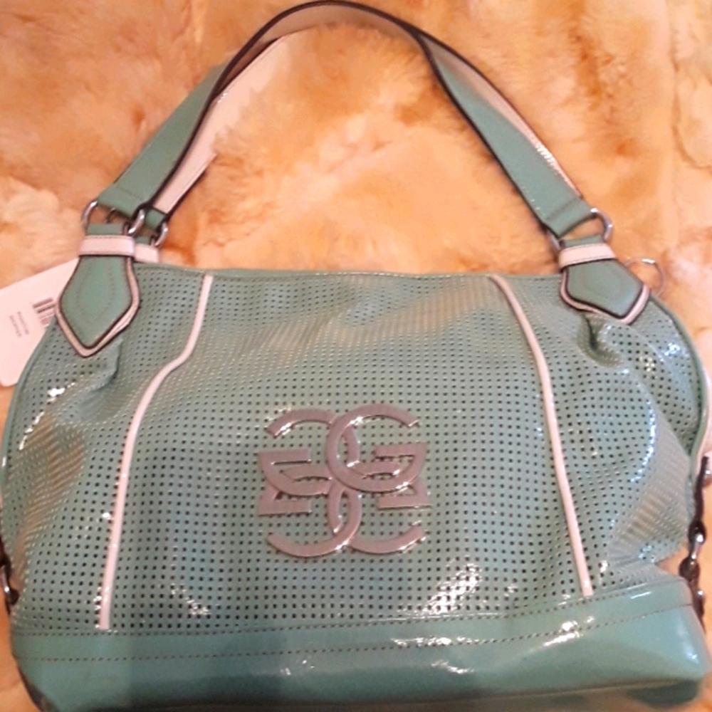 "Genna DeRossi" Aqua Large Patient Leather Purse